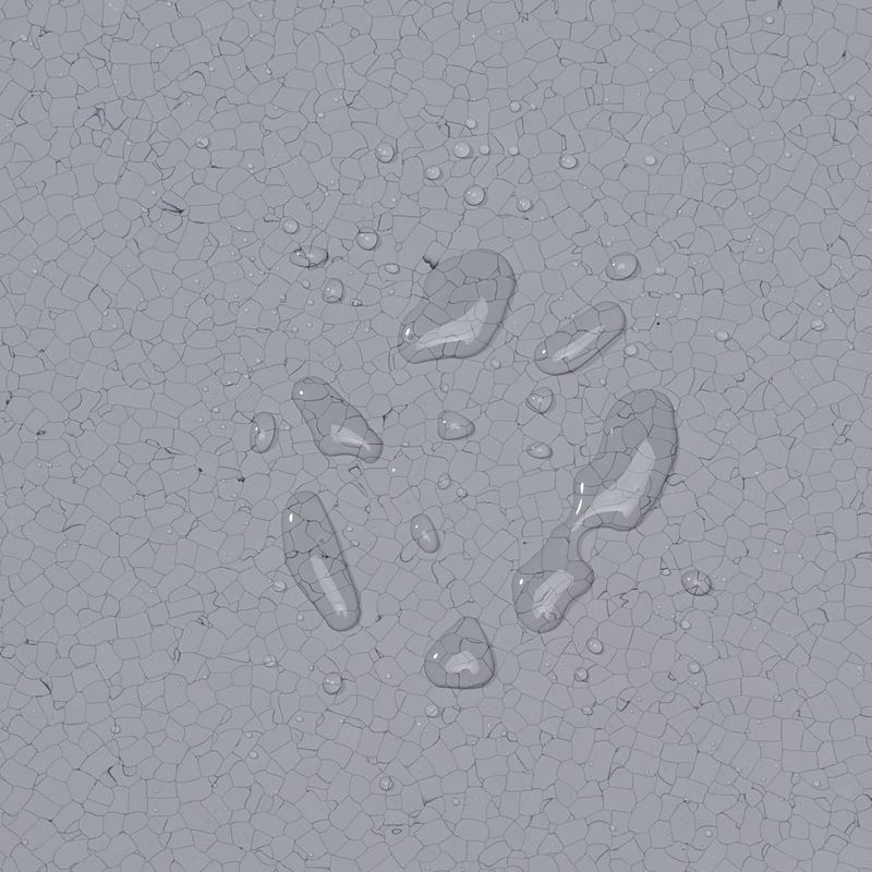 photobank - 2021-08-05T141212.373